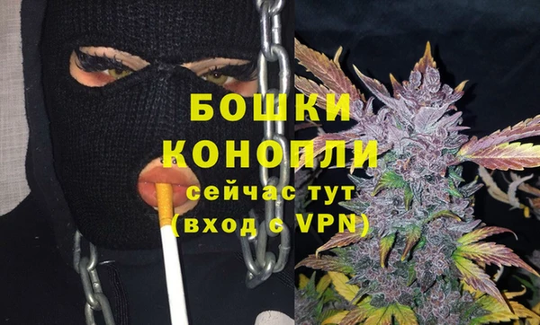 PSILOCYBIN Аркадак