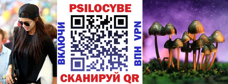 Псилоцибиновые грибы MAGIC MUSHROOMS  закладки  Воронеж 